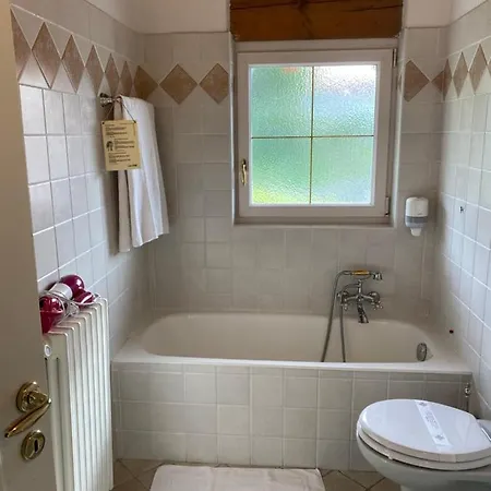 Garni Viggiona 3* Trarego