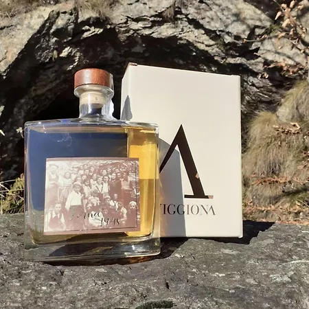 Garni Viggiona 3* Trarego