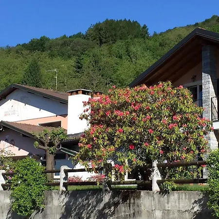 Ξενοδοχείο Garni Viggiona 3*