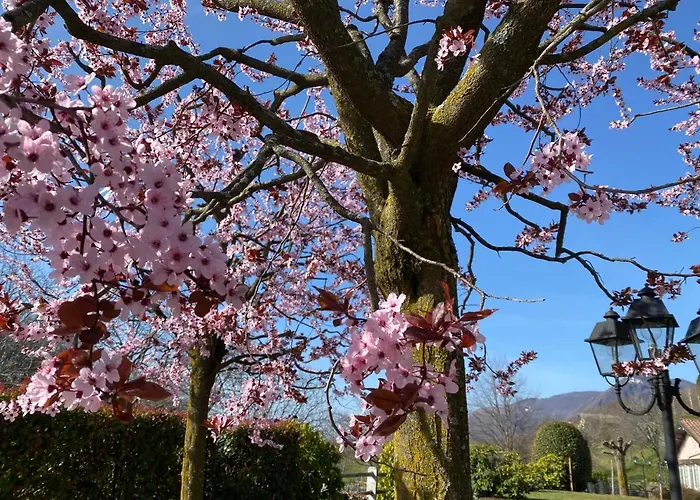 Garni Viggiona מלון 3*