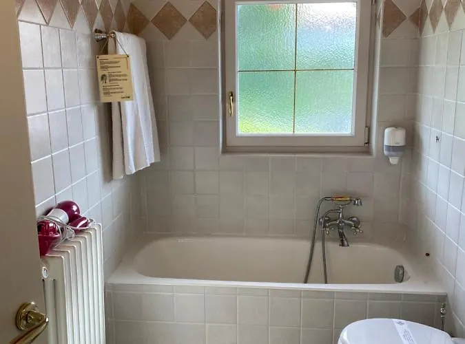 Garni Viggiona 3* Trarego