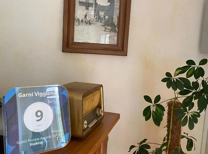 Garni Viggiona Отель