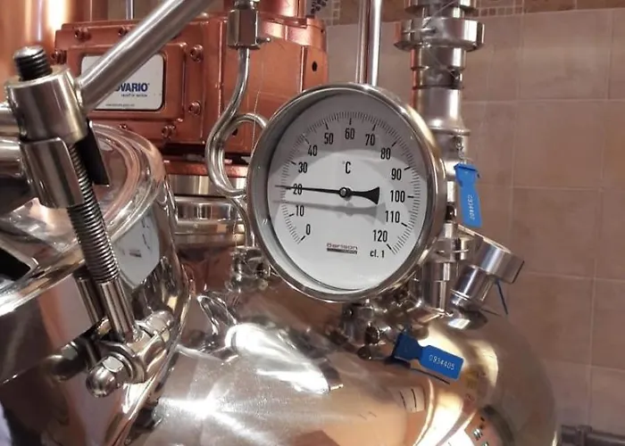 Garni Viggiona 3* Trarego