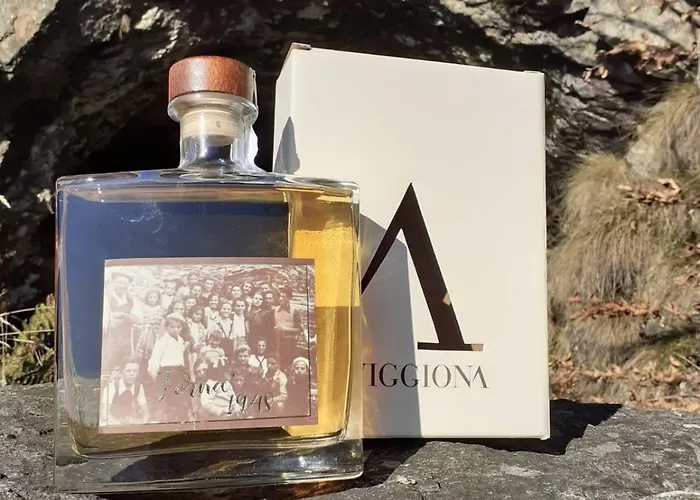 Garni Viggiona 3* Trarego