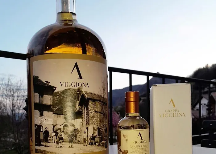 Garni Viggiona Otel 3*