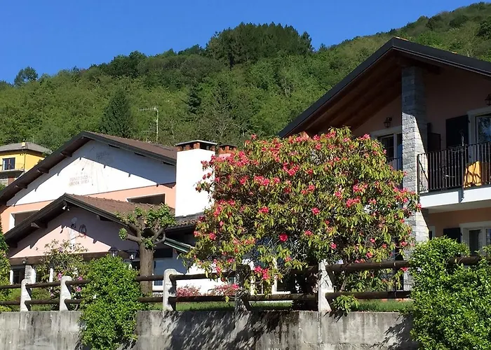 Hotel Garni Viggiona 3*