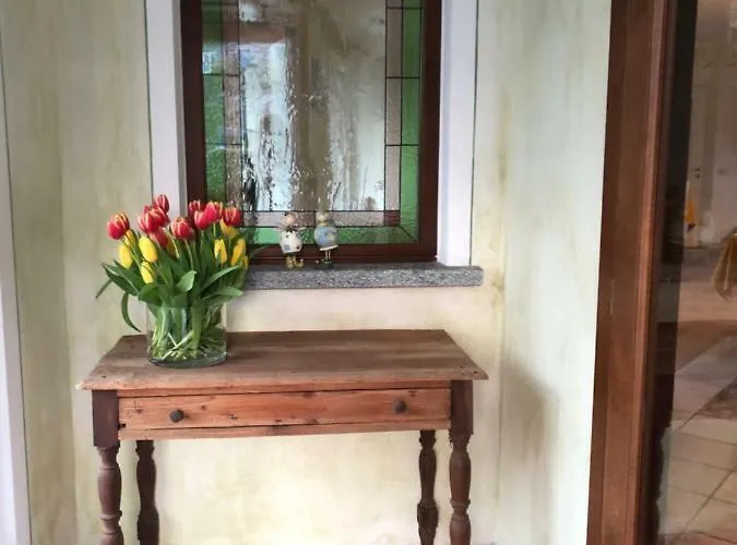 Garni Viggiona Отель Trarego